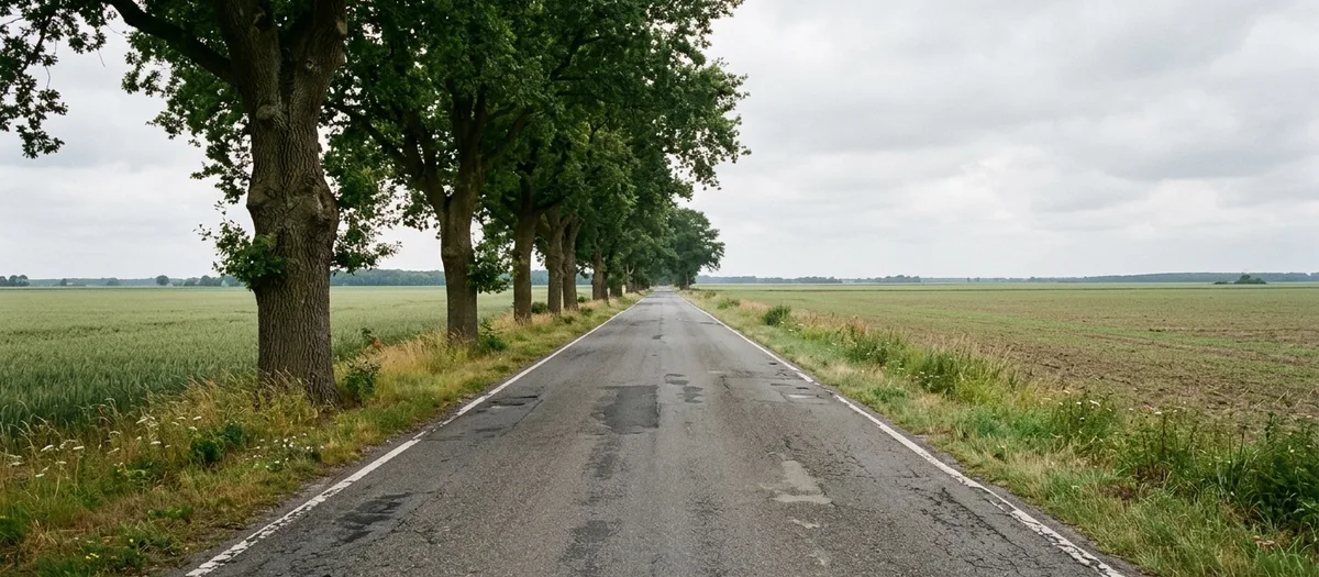 Gerade Landstraße durch norddeutsches Ackerland mit einer alten Baumallee auf der linken Seite